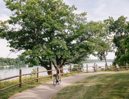 People enjoying biking along a bike path in Niagara on the Lake