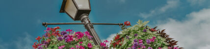 Light post with hanging flowers near Moffat Inn in Niagara on the Lake