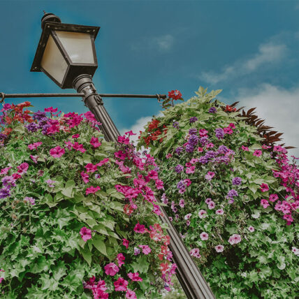 A lamp post located outside of the Moffat Inn hotel in Niagara-on-the-Lake