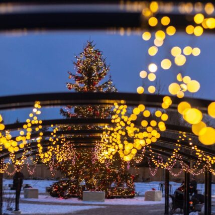 Christmas Wonderland Gardens at Pillar and post in Niagara on the lake