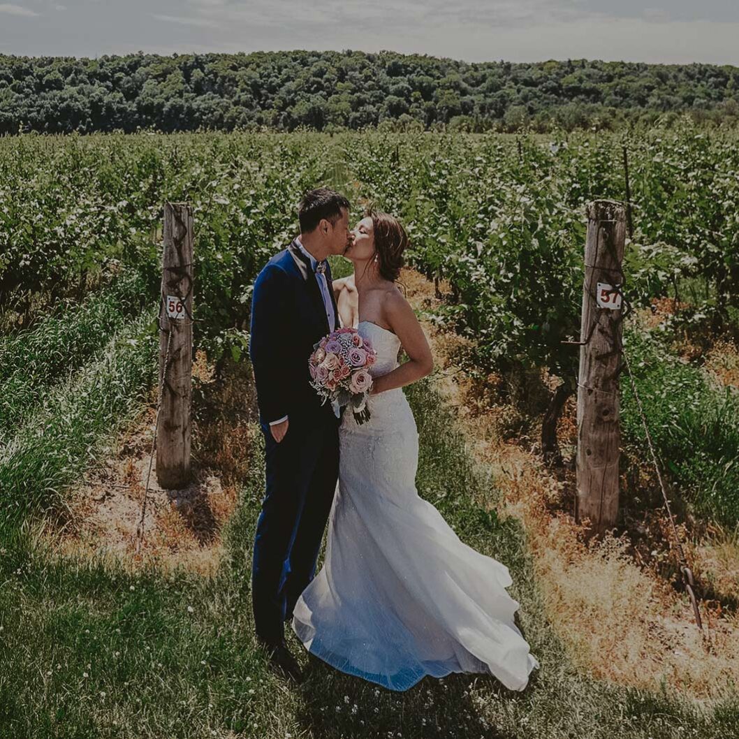 Bride and groom kissing in front of a vineyard near Inn On The Twenty in Jordan Station
