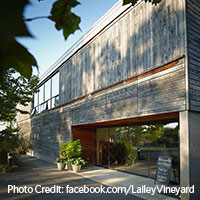 Lailey Vineyards