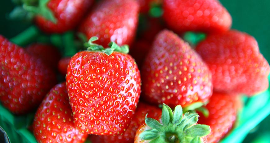 Strawberry Festival in Nigara-on-the-Lake