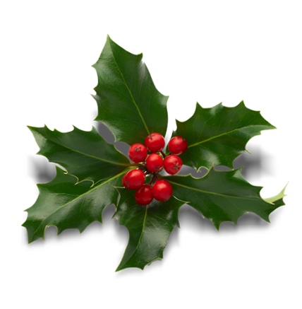 A sprig of holly at Prince of Wales Hotel in Niagara on the Lake