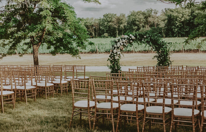 Wedding guest seating at a Château des Charmes vineyard wedding in Niagara-on-the-Lake.