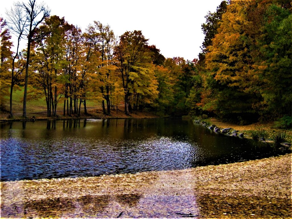 Outdoor Experiences & Hiking Trails in Caledon, ON | Vintage Hotels