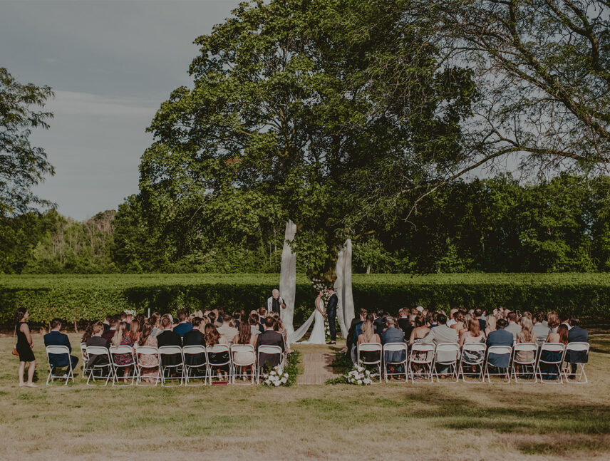 A couple getting married by the vineyards at The Hare Wine Co. in Niagara-on-the-Lake.