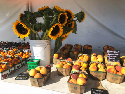 Fresh fruit sold at a fruit festival in Niagara on the Lake