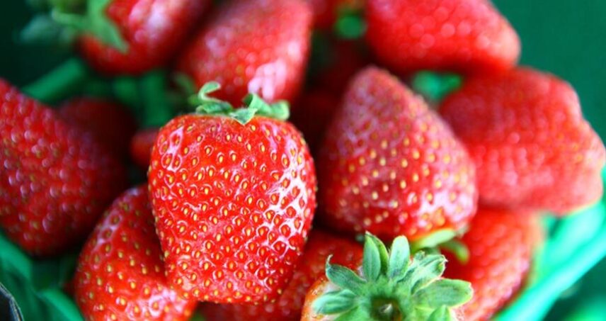 Strawberry Festival in Niagara-on-the-Lake