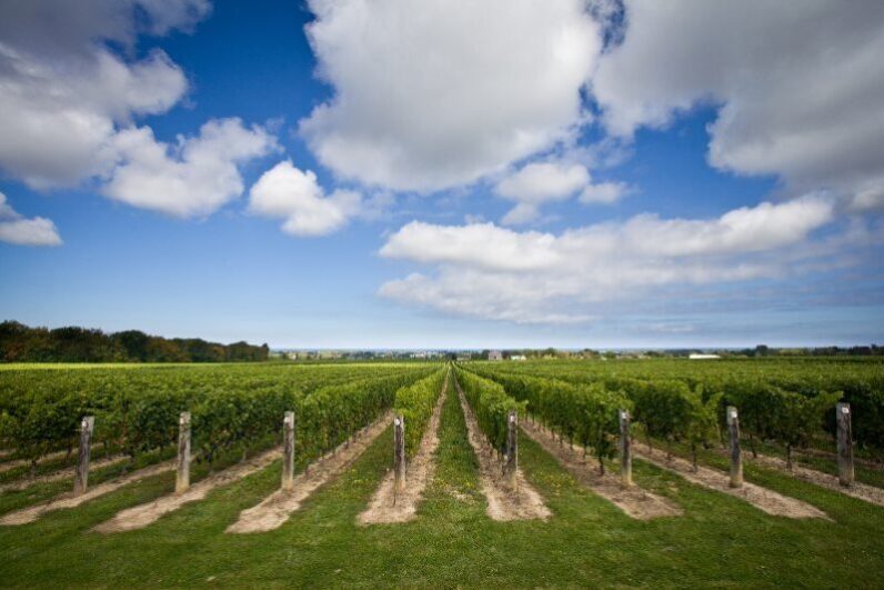 Weekend Getaway in the Niagara Benchlands, Ontario