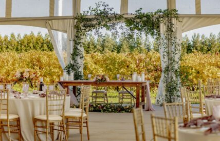 Head Table at a Wedding Reception at Bella Terra Vineyards in Niagara on the Lake