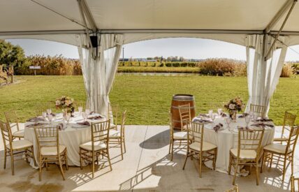 Views of the vineyard from Bella Terra Vineyards wedding tent