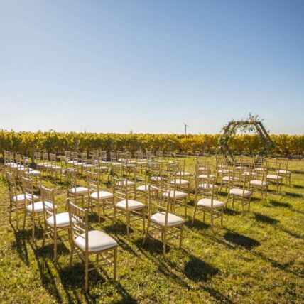 A wedding ceremony set up in the vineyard at Bella Terra Vineyards in Niagara-on-the-Lake.