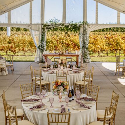 Bella Terra Vineyards Wedding Tent in Niagara on the Lake