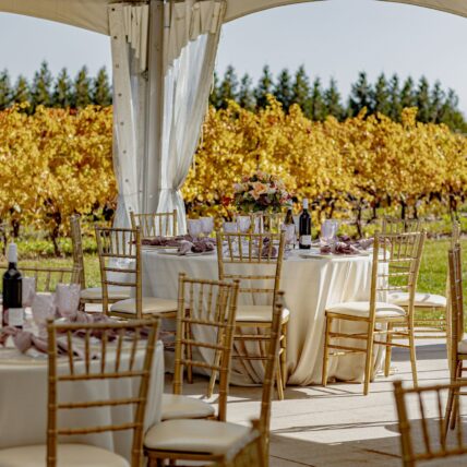 Dining tables set up at Bella Terra Vineyards winery wedding venue in Niagara on the Lake
