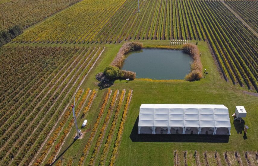 A drone view of Bella Terra Vineyards Weddings in Niagara on the Lake