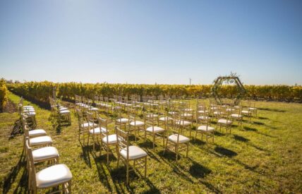 Chairs set up for a wedding among the vineyards at Bella Terra Vineyards in Niagara on the Lake