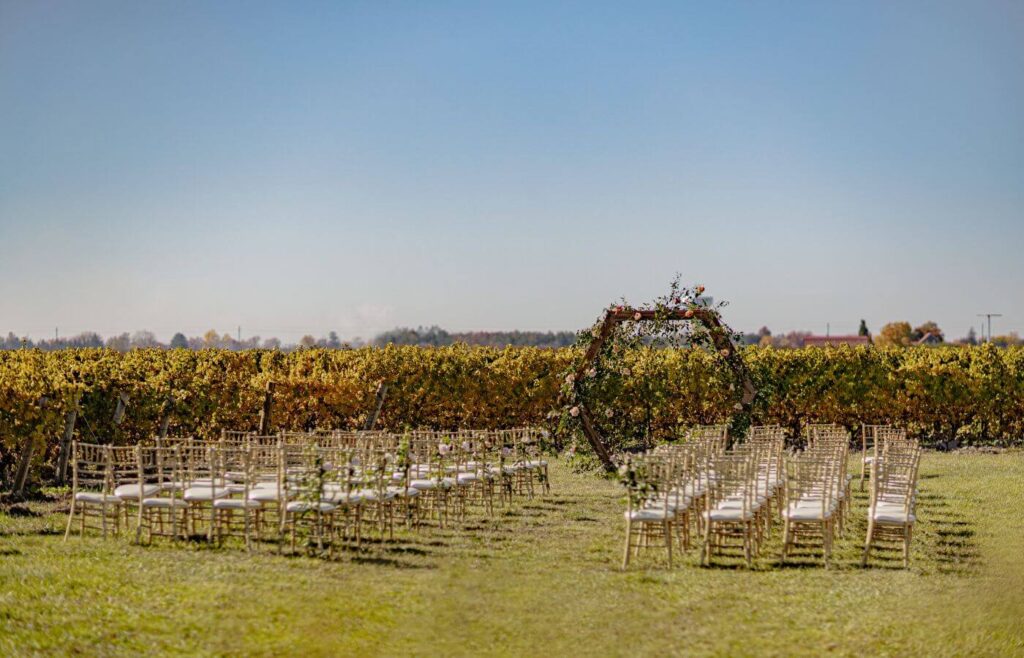 Vintage Hotels Vineyard Weddings at Bella Terra