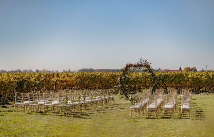 Vineyard wedding ceremony at Bella Terra Vineyards in Niagara