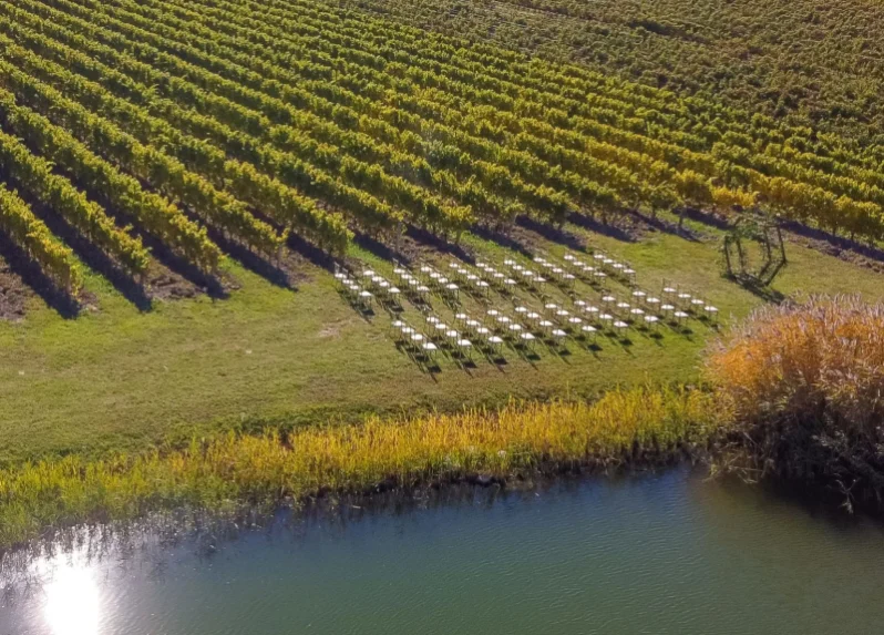 Seats arranged for a wedding ceremony at Bella Terra Vineyards