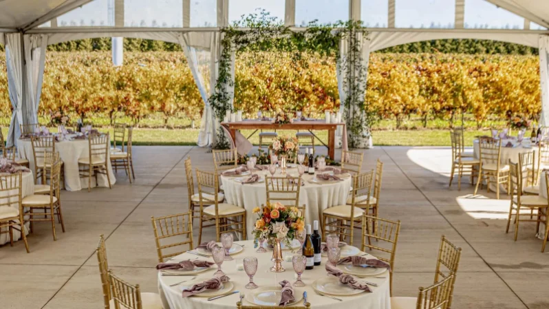 Seating arrangements for a wine country wedding at Bella Terra Vineyards in Niagara