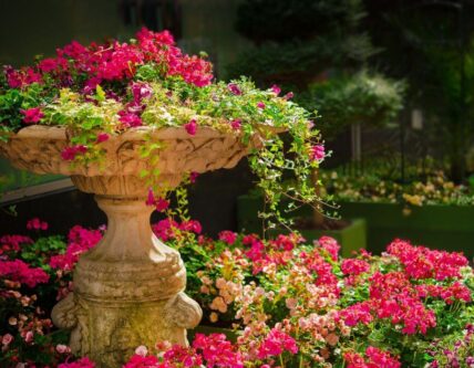 How to make a spring planter in your bird bath