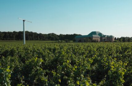 Grape vines and a wind machine at Château des Charmes winery in Niagara on the Lake