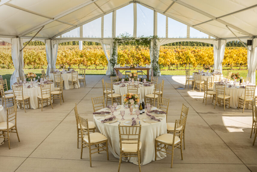 A wedding tent at the Bella Terra Vineyard with a view of vines in the back drop.