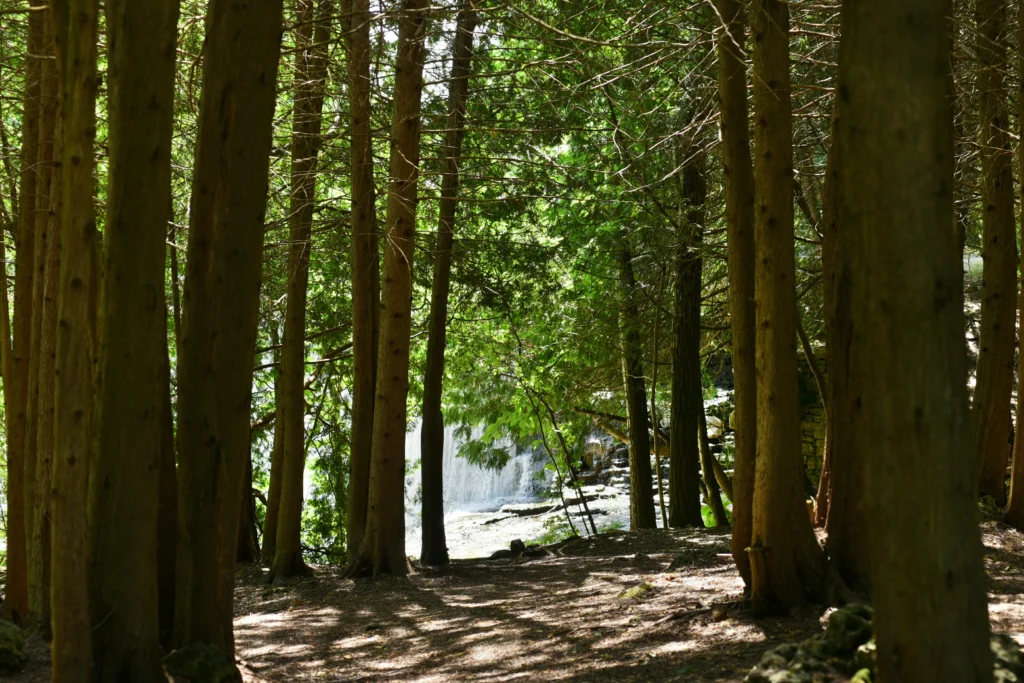 Hiking trails near Millcroft Inn & Spa in Alton, Ontario