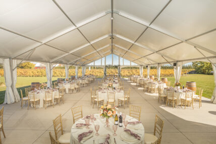Bella Terra Vineyards, a winery wedding venue booking for 2023