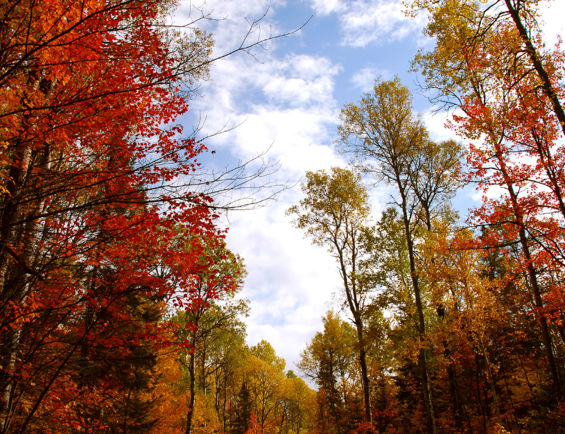 Fall walking trails in Niagara on the Lake