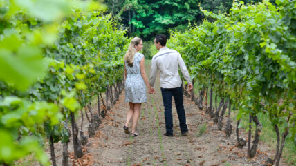 A couple walking through a winery in the Niagara Benchlands