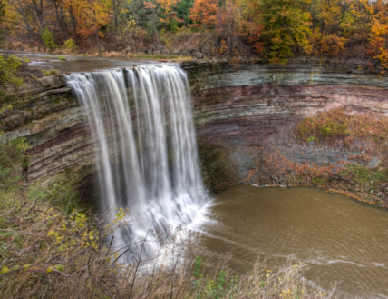Ball’s Falls, a popular birdwatching location in the Niagara Benchlands