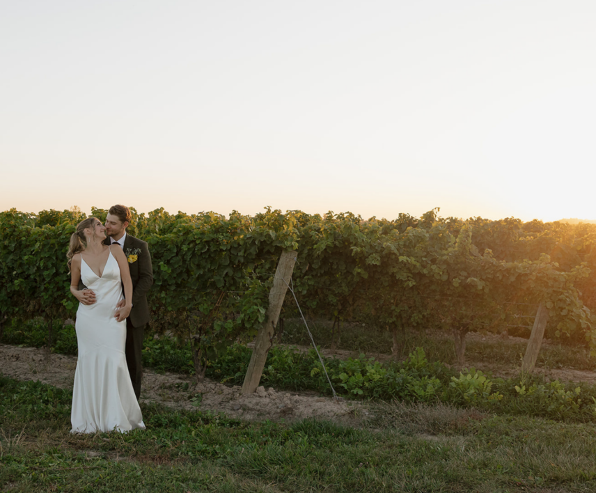 Wedding couple in Bella Terra Vineyards at sunset in Niagara-on-the-Lake