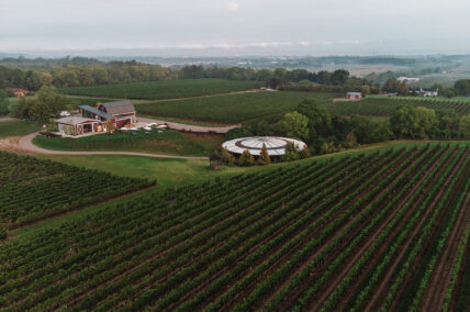 The vineyards and barn at Cave Spring Vineyard in Niagara-on-the-Lake.