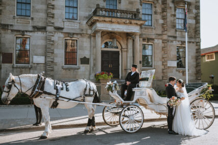 A horse and carriage in Historic Old Town in Niagara on the Lake