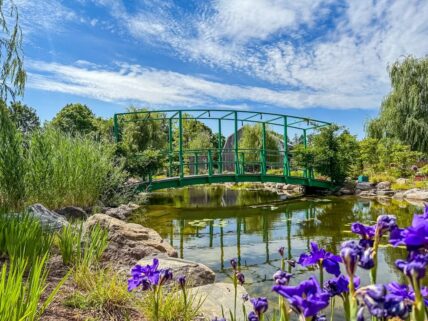 The bridge viewed through blooming flowers in The Gardens in Niagara on the Lake