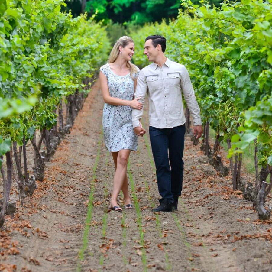 Signature Jordan Wine Tour Inn On The Twenty