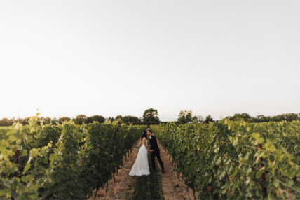 Newlyweds kissing in the vineyards at Cave Spring Vineyard in Niagara-on-the-Lake.