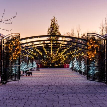 Christmas Wonderland Gardens at Pillar and post in Niagara on the lake