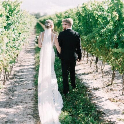 A newly married couples poses for a photo in the vineyard