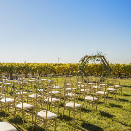 Niagara Pop Up Wedding Ceremony at Bella Terra Vineyards