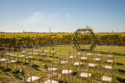 The Bella Terra vineyards wedding set up.