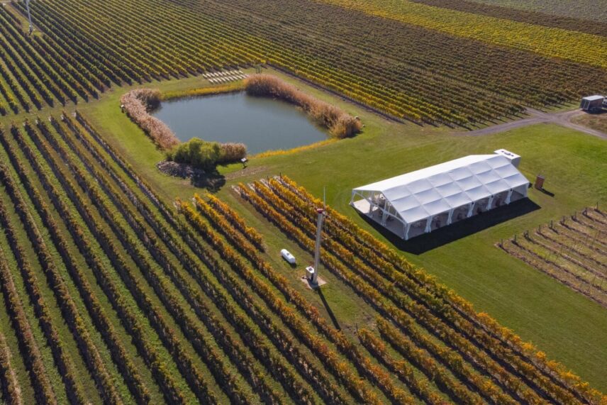 Overview of the vineyard and tent at Bella Terra Vineyards.