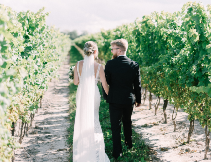 Newlyweds walking through the vineyards at Bella Terra Vineyards.