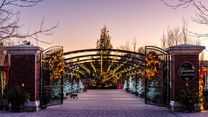 Winter Wonderland Garden decorations at Vintage Hotels