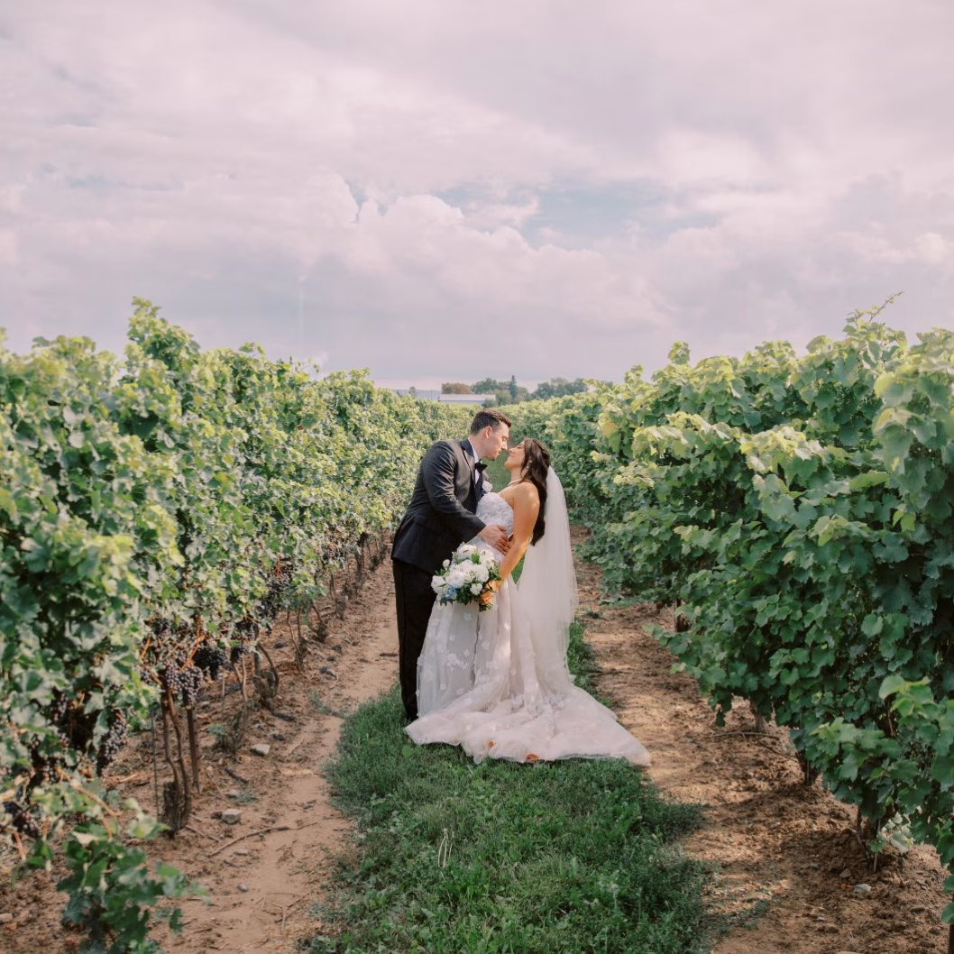 A couple kisses in the vineyards at Bella Terra Vineyards during their summer wedding venue sale