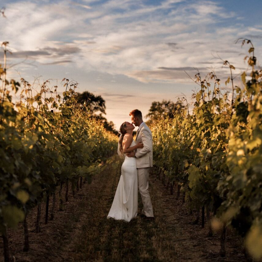 A newly married couple embraces in the vineyard of Niagara winery wedding venue Cave Spring Vineyard