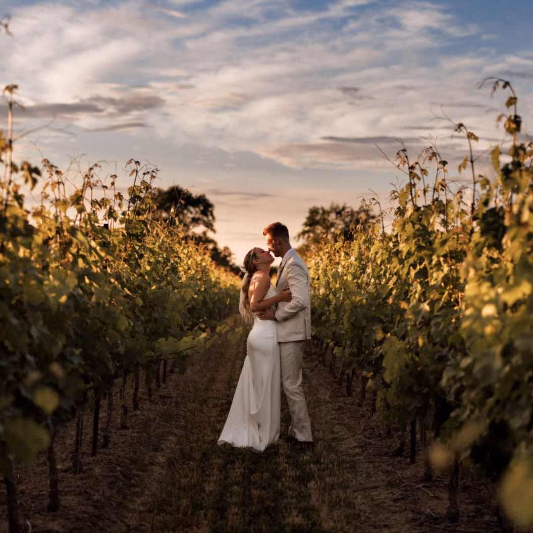 A newly married couple embraces in the vineyard of Niagara winery wedding venue Cave Spring Vineyard