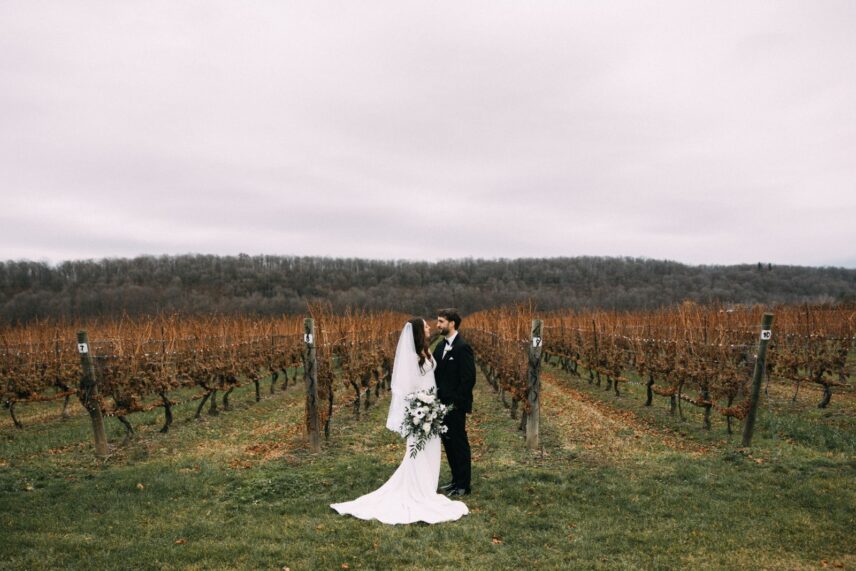 Wedding Couple in the winter vineyards in Niagara
